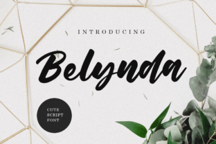 Belynda: Where Elegance Meets Expressive Typography