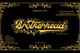 Brotherhead: A Strategic Choice for Distinctive Visual Communication