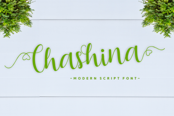 Chashina: Where Handwritten Warmth Meets Modern Design Clarity