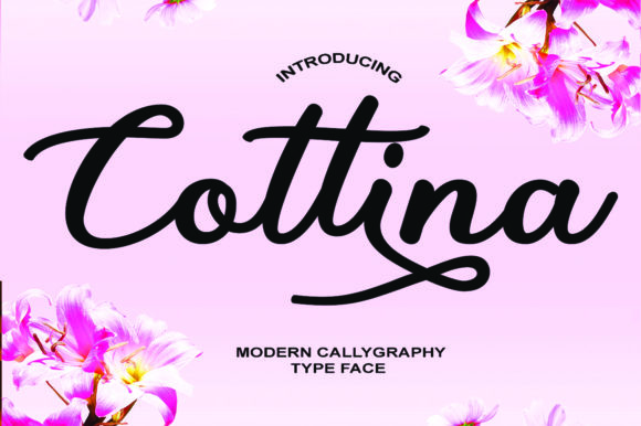 Cottina: Romantic Elegance That Elevates Crafted Design