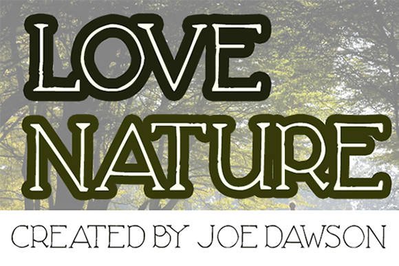 Love Nature Font: A Playful, Organic Serif for Authentic Design